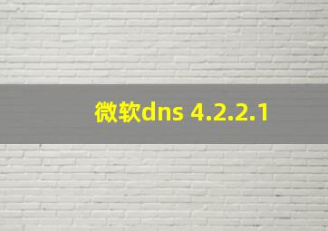 微软dns 4.2.2.1